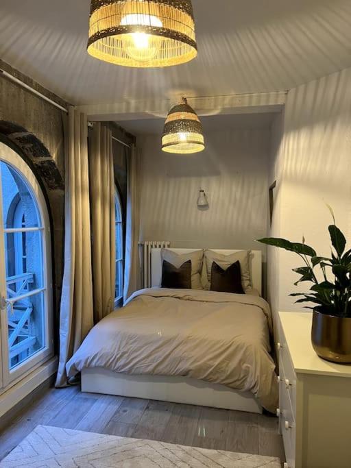 Appartement Superbe Duplex En Hyper Centre à Saint-Etienne  Extérieur photo